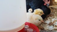 20180430_183706.jpg