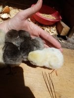 20180504_142340.jpg