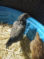 20180505_075232.jpg