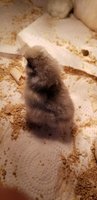 20180505_095721.jpg