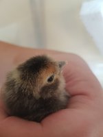 20180505_181854.jpg