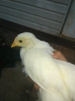 IMG_20180505_193201.jpg
