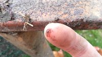 mites_3.jpg