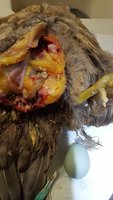 20180504_212622.jpg