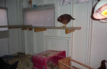 450.jpg 450.jpg