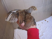 IMG_2273.JPG