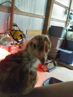 20180506_110047.jpg