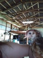 20180506_105954.jpg