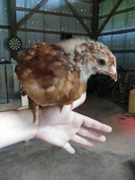 20180506_105824.jpg