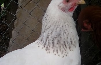 IMG_20170614_104124.jpg