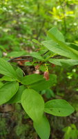 20180506_121921.jpg