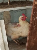 20180506_135140.jpg