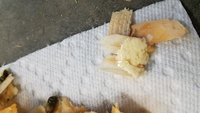 20180506_143641.jpg