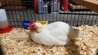 20180506_114026.jpg 20180506_114026.jpg
