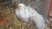20180506_144355.jpg