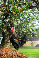 09ED2500-E08F-440E-8013-A90EF390D386.jpeg