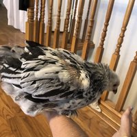F57E8C96-D002-4618-A0E5-46692EE39280.jpeg
