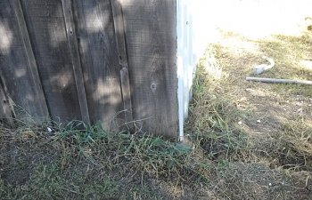 2010-10-02154029.jpg 2010-10-02154029.jpg