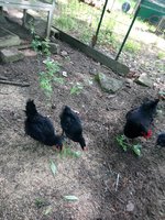 DSC_0214.JPG