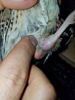 20180507_215425[1].jpg