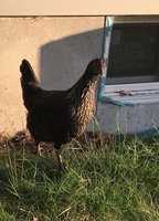 8B3E9F1C-9605-45F3-BEE1-9D481CB25DF5.jpeg