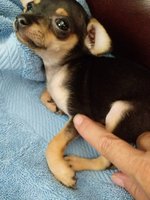 JPEG_20180508_092404_3230896777760162655.jpg