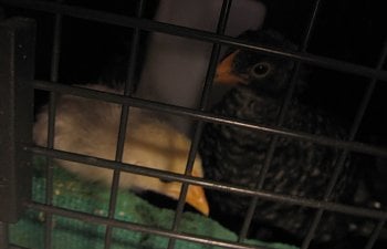 IMG_1262.jpg IMG_1262.jpg