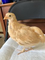 iphone pics 011.JPG