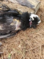 20180509_134220.jpg