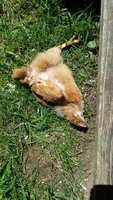 20180507_122654.jpg