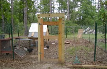 Chickenrun1.jpg
