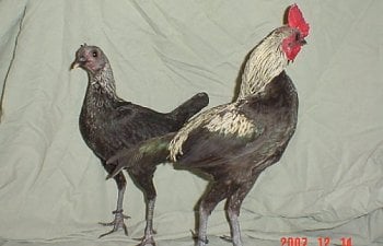 293074434.jpg 293074434.jpg