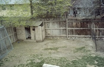 ChickenCoop022.jpg ChickenCoop022.jpg
