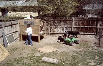 ChickenCoopFinished003.jpg ChickenCoopFinished003.jpg