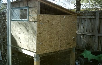 ChickenCoopFinished011.jpg ChickenCoopFinished011.jpg