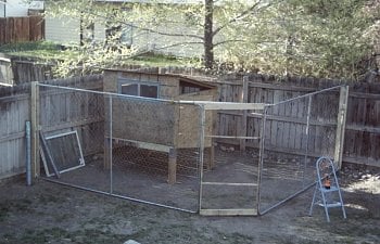 ChickenCoopFinished012.jpg ChickenCoopFinished012.jpg