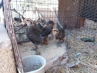 20180510_122106.jpg