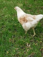 20180510_115715.jpg