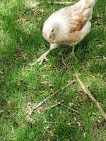 20180510_115724.jpg