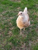20180428_191847.jpg