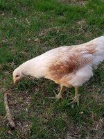 20180428_191849.jpg