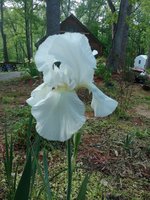 20180508_164406.jpg
