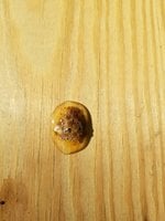20180510_173541.jpg