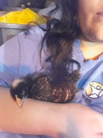 20180510_233930.jpg