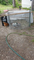 20180502_122213.jpg