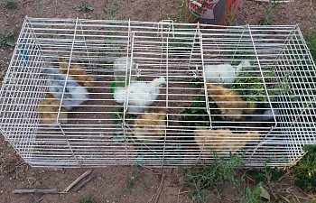 20180510_173537.jpg