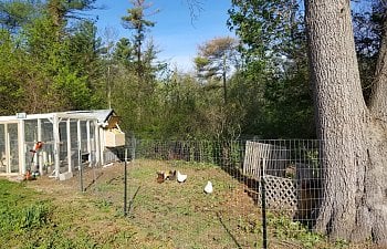 20180511_074500.jpg 20180511_074500.jpg