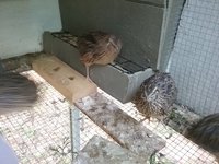 20180508_192050.jpg