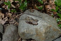 DSC_0257.JPG