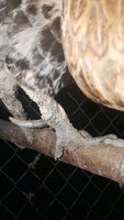 20180511_195752.jpg